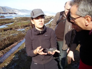 Flysch (deba zumaia biotopoa)