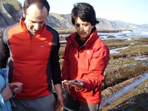 Flysch (deba zumaia biotopoa)