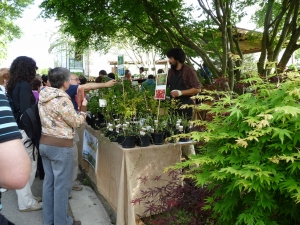 Landare berezien azoka