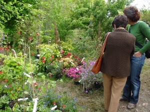 Landare berezien azoka