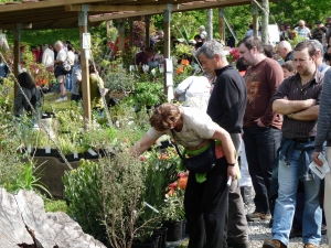 Landare berezien azoka