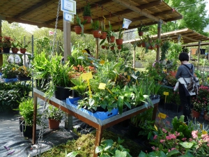 Landare berezien azoka