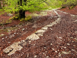 San Adriango galtzada