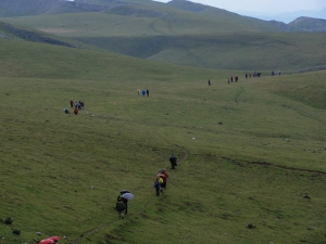 Enirio-Aralarreko Martxa 2010