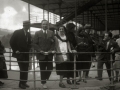 GRUPO DE PERSONAS JUNTO AL TINGLADO DE TOLOSA. (Foto 1/1)