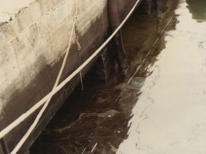 Contaminación acuática en la bahía de Pasaia