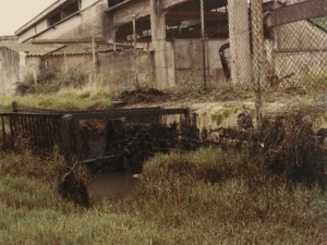 Contaminación acuática en la bahía de Pasaia