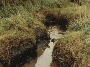 Contaminación acuática en la bahía de Pasaia