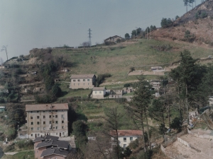 Huertas de la zona alta de Pasai San Pedro y Trintxerpe