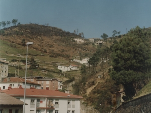 Zona alta de Pasai San Pedro y Trintxerpe