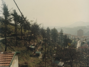 Huertas de la zona alta de Pasai San Pedro y Trintxerpe