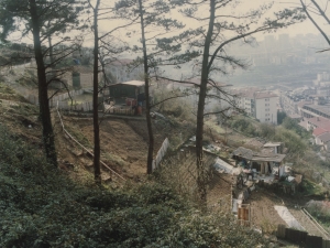 Huertas de la zona alta de Pasai San Pedro y Trintxerpe