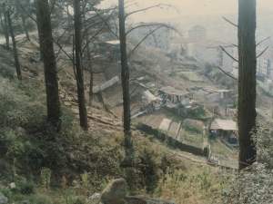 Huertas de la zona alta de Pasai San Pedro y Trintxerpe