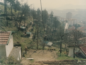 Huertas de la zona alta de Pasai San Pedro y Trintxerpe