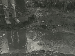 Aguas procedentes de la escombrera del vertedero de San Marcos