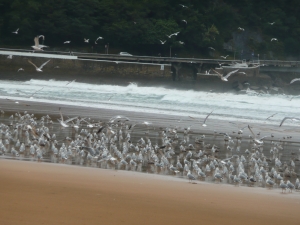 P1020876