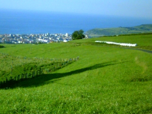 Zarauzko bista