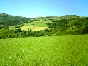 Zarautz Ruta Elkano