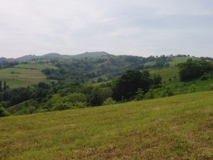 Zarautz Ruta Elkano