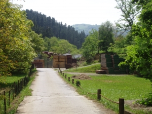 Zarautz Ruta Elkano