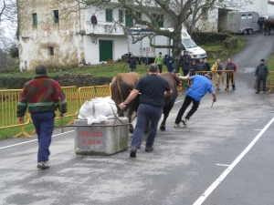 Urtetako Jaiak 2010, Idi-probak