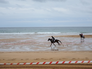 Zarauzko Zaldi lasterketa 2010