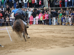 Zarauzko zaldi lasterketa 2010