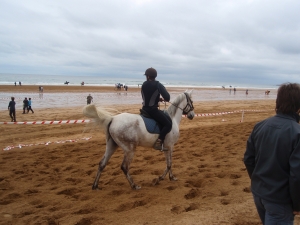 Zarauzko zaldi lasterketa 2010