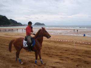 Zarauzko zaldi lasterketa 2010