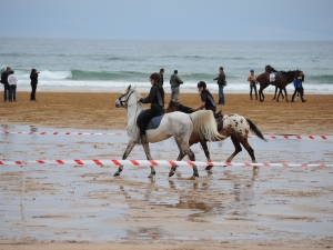 Zarauzko zaldi lasterketa 2010