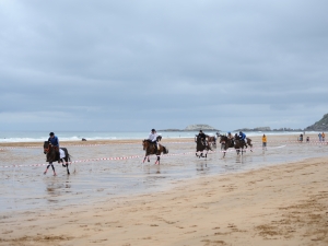 Zarauzko zaldi lasterketa 2010