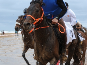 Zarauzko zaldi lasterketa 2010