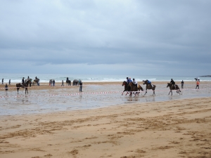 Zarauzko zaldi lasterketa 2010