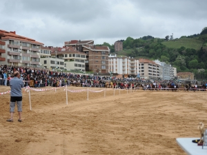 Zarauzko Zaldi lasterketa 2010