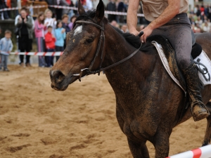 Zarauzko Zaldi lasterketa 2010