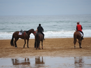 Zarauzko Zaldi lasterketa 2010