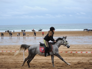 Zarauzko zaldi lasterketa 2010