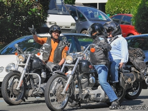 Harley Davidson txakoli road 2010