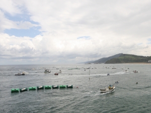 Estropadak Zarauzko ikurriña 2010