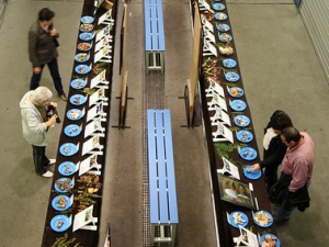 Natur astea, perretxiku erakusketa