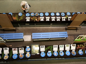 Natur astea, perretxiku erakusketa