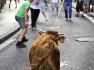 Bigantxak Santa Marinan