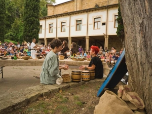 Zarauzko VI. Erromatar Jardunaldiak, 2011