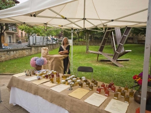 Zarauzko VI. Erromatar Jardunaldiak, 2011