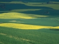 Paisaje en Navarra