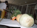 Grupo de personas observan las calabazas y otras verduras del concurso de hortalizas y frutas, el día del Herri Eguna