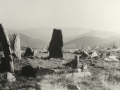 Urnietako monumentu megalitikoak