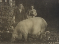 Baserritarrak txerri batekin