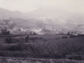 Urnietako ikuspegi panoramikoa