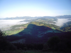 Txindokitzal txindokitik